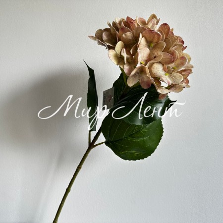Ветка гортензии (С30542), 66 см, бежевая, шт.