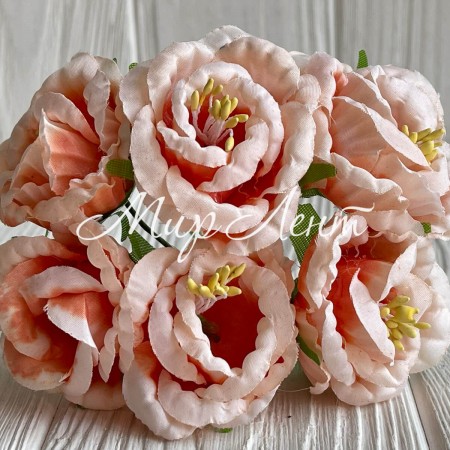 Глоксинія, 4,5 см, персиковий, упаковка 36 шт.