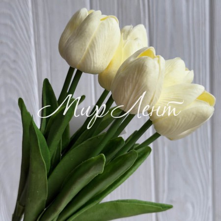 Букет тюльпанов, 34 см, молочный, букет з 9 шт.