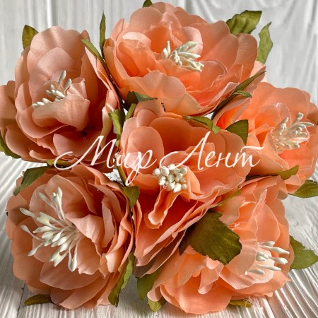 Бегонія королівська, 5 см, темно-персикова, упаковка 30 шт.