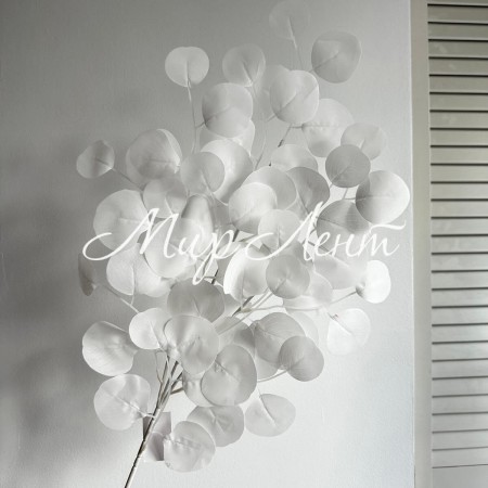 Эвкалипт свисающий (средний), 65 см, белый, шт.