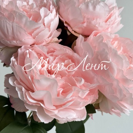 Букет пионов (С30478), 44 см, светло-розовый, шт.