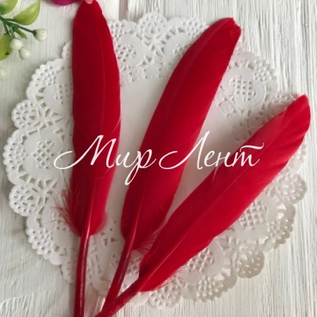 Пір'я довгі, 10-16 см, червоний, упаковка 100 шт.
