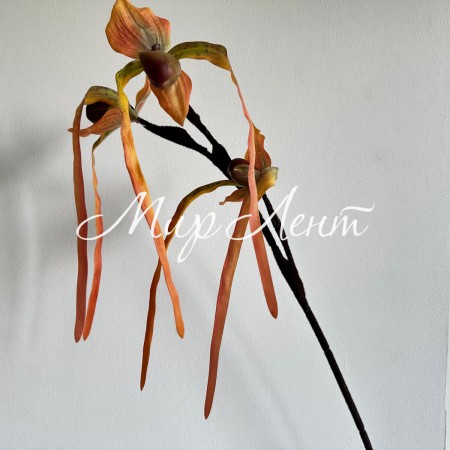 Гілка дикої орхідеї, 80 см, помаранчева, шт.