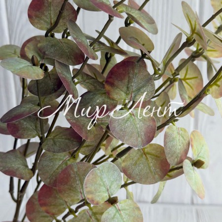 Ветка эвкалипта (ТВ-С30715), 47 см, бледо-оливково-бордовая, шт.