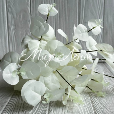 Евкаліпт з суцвіттям, 50 см, айворі, шт.