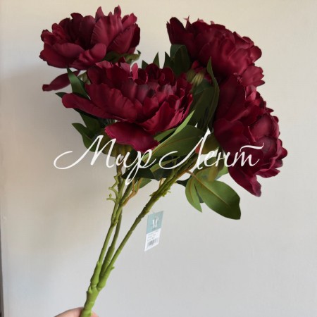 Букет пионов (С30482), 50 см, бордовый, шт.