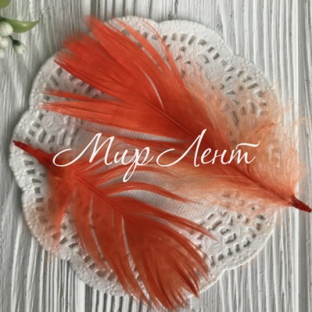 Перо цветное, 5-15 см, оранжевый, упаковка 100 шт.