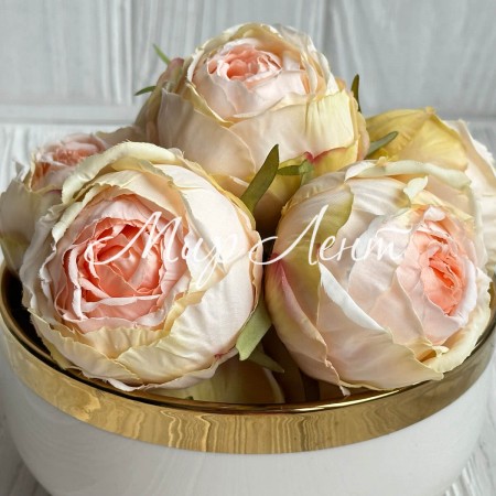 Бутон английской розы, 5-6 см, молочно-персиковая, упаковка 20 шт.