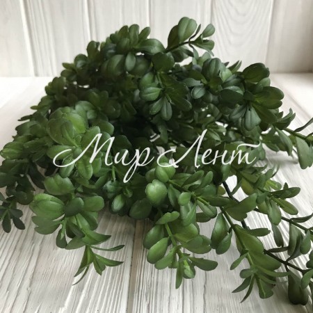 Гілка самшиту, 48 см, темно-зелений, шт.