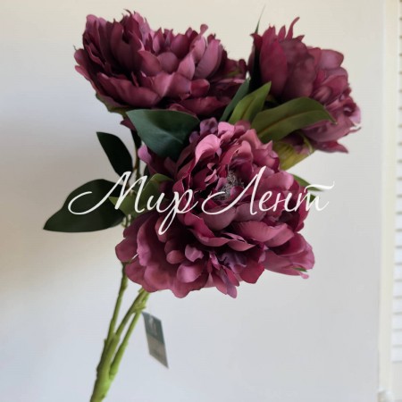 Букет пионов (С30482), 50 см, баклажановый, шт.