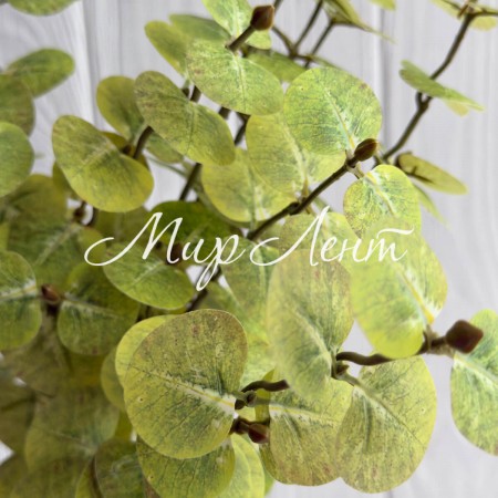 Ветка эвкалипта (ТВ-С30715), 47 см, светло-зеленая, шт.