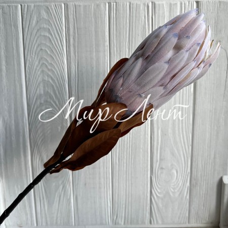 Протея большая, 8 см, нежно-розово-лиловая, шт.