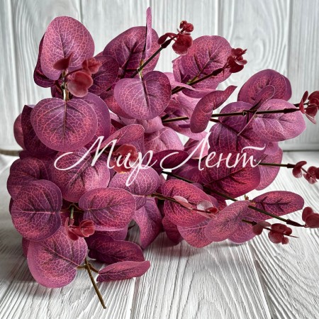 Эвкалипт с соцветием, 50 см, бордовый, шт.