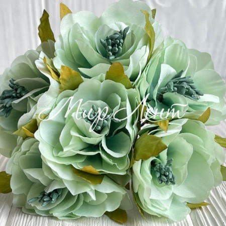 Бегония королевская, 5 см, мятная, упаковка 30 шт.