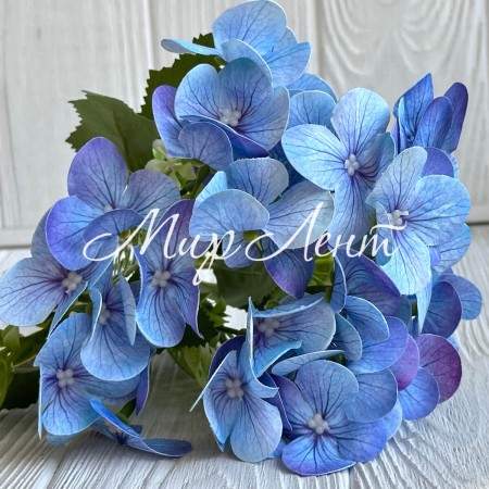 Букет гортензії міні (С30300), 35 см, блакитний, шт.