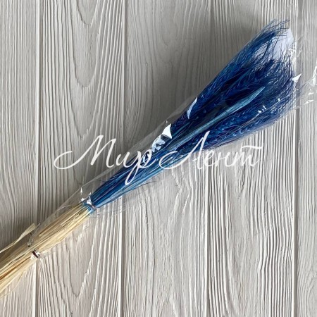 Колоски стабілізовані, 60 см, темно-сині, упаковка 30 шт.