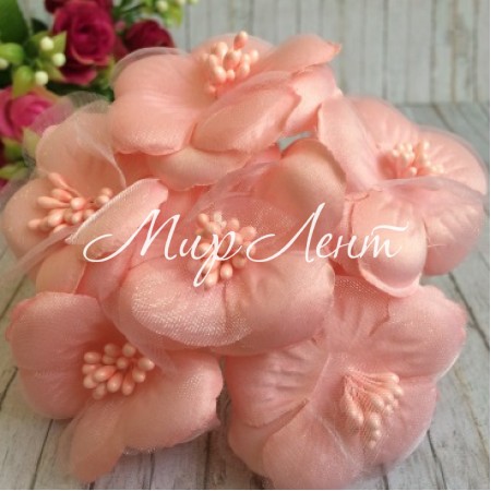 Космея, 5,5 см, персиковий, упаковка 10 пучків (60 квіточок)