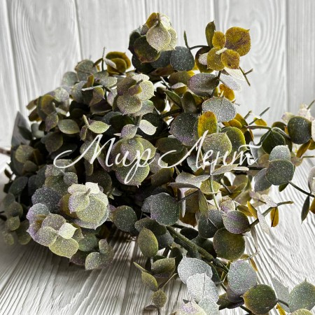 Гілка евкаліпту з присипкою, 60 см, зелений, шт.