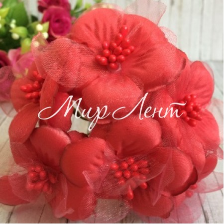 Космея, 5,5 см, красный, упаковка 10 пучков (60 цветочков)