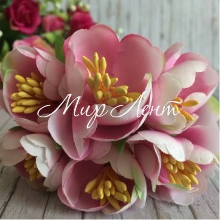 Півонія розкритий, 4,5 см, світло-рожевий, упаковка 8 пучків