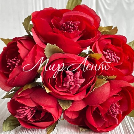 Бегония, 5х12 см, красная, упаковка 30 шт.