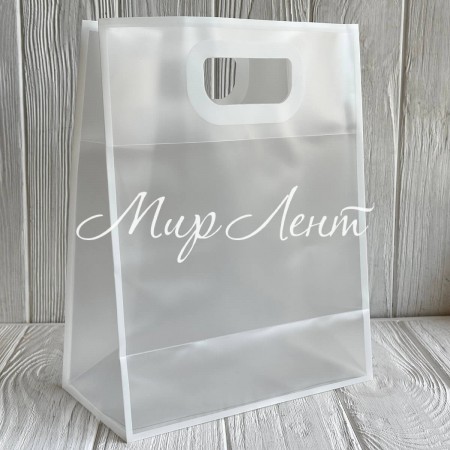 Пакет пластиковый прозрачный (L), 21х11х27 см, прозрачный, упаковка 10 шт.