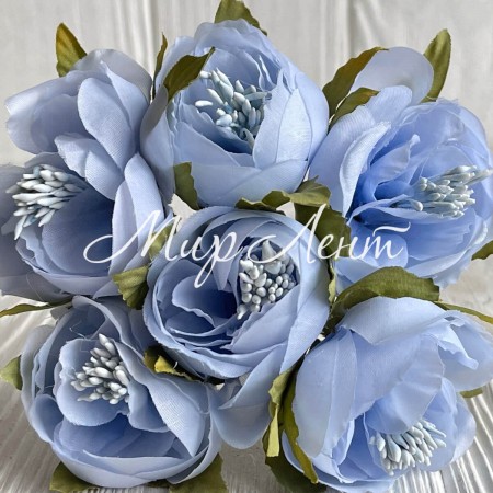 Бегония, 5х12 см, голубая, упаковка 30 шт.