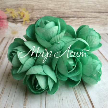 Ранункулюс, мятный, упаковка 36 шт.