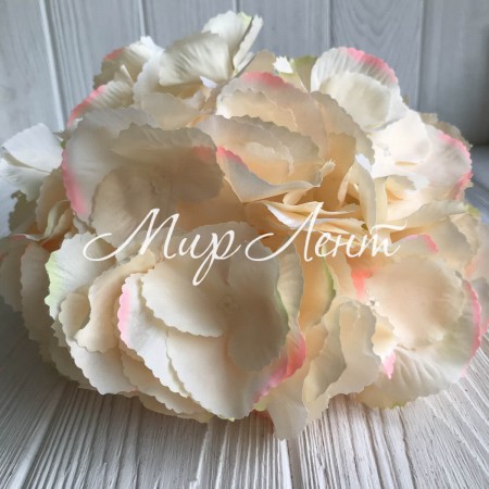 Гортензия (соцветие), 22 см, персиковый, шт.