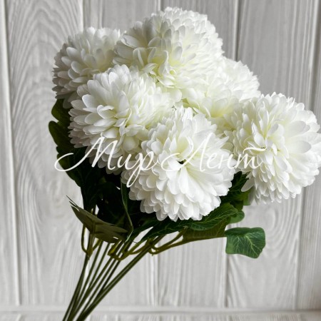 Букет астр, 6х42 см, молочный, шт.