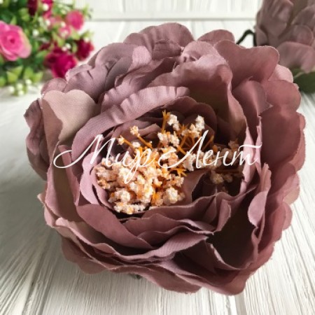 Пион большой с тычинками, 10 см, пюсовый, упаковка 50 шт.