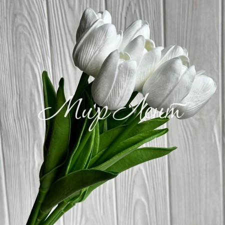 Букет тюльпанов, 34 см, белый, букет з 9 шт.