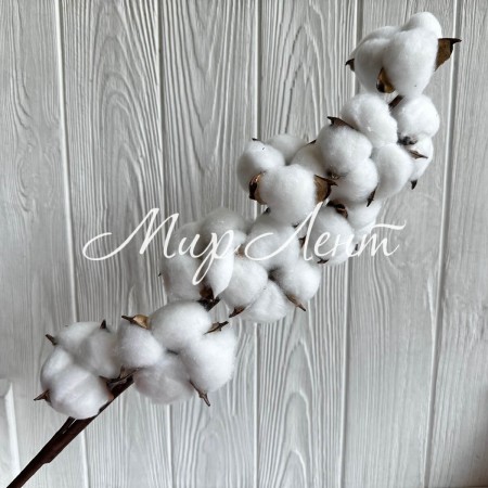 Хлопок на ветке, 60 см, белый, шт.