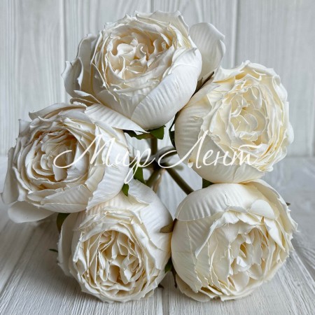 Букет пионовидной розы, 7х26 см, баклажановый, букет з 5 шт.