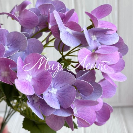 Букет гортензии мини (С30300), 35 см, фиолетовый, шт.