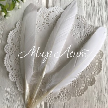 Перья длинные, 10-16 см, белый, упаковка 100 шт.