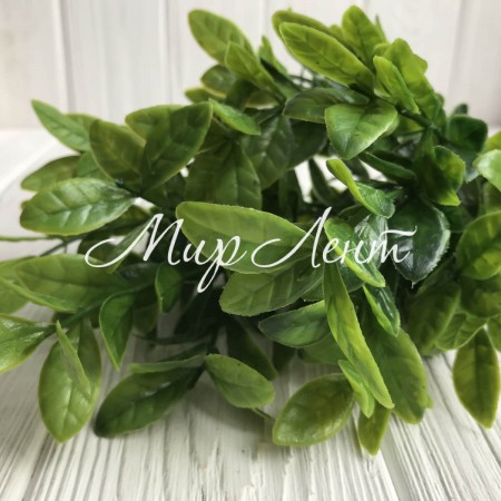 Ветка лаврового листа, 35 см, зеленый, 1 шт.