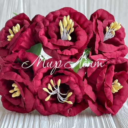 Глоксиния, 4,5 см, бургунди, упаковка 36 шт.