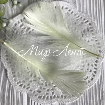 Перо цветное, 5-15 см, молочный, упаковка 100 шт.