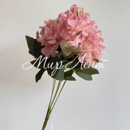 Букет морозника (С30477), 45 см, розово-персиковый, шт.