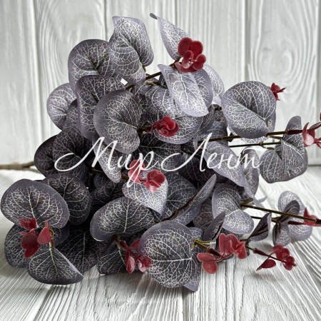 Евкаліпт з суцвіттям, 50 см, фіолетовий, шт.