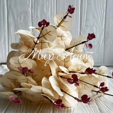 Эвкалипт с соцветием, 50 см, молочный, шт.