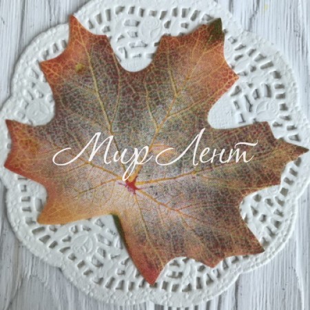 Листик клена без ножки (маленький), 10х8 см, бледно-зелено-оранжевый, упаковка 50 шт.