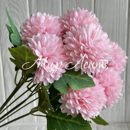 Букет астр, 6х42 см, світло-рожевий, шт.