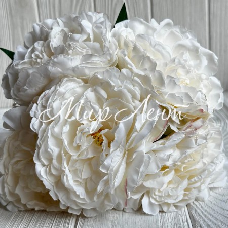 Букет травянистого пиона, 8,5х38 см, айвори, букет 5 шт.