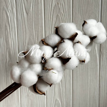 Хлопок стабилизированный на ножке, 38 см, белый, упаковка 10 шт.