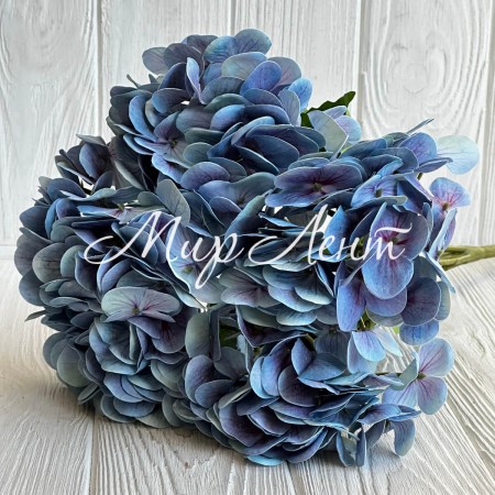 Гортензия (букет), 45 см, голубая, шт.