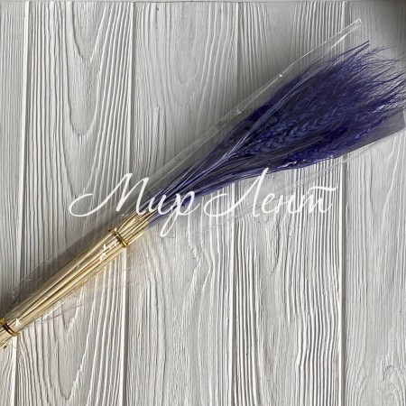 Колоски стабілізовані, 60 см, темно-фіолетові, упаковка 30 шт.