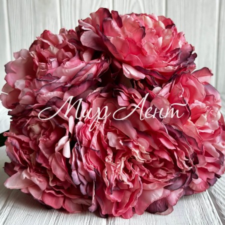 Букет травянистого пиона, 8,5х38 см, кораллово-пудровый, букет 5 шт.